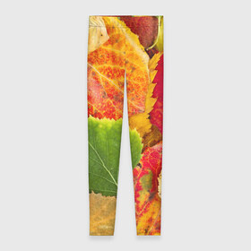 Леггинсы 3D с принтом Осень в Курске, 80% полиэстер, 20% эластан | Эластичный пояс, зауженные к низу, низкая посадка | берёза | дары осени | жёлтый | зелёный | золотой | краски | красный | красота | листва | листья | наряд | оранжевый | осень | осина | покров | природа