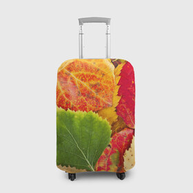 Чехол для чемодана 3D с принтом Осень в Курске, 86% полиэфир, 14% спандекс | двустороннее нанесение принта, прорези для ручек и колес | берёза | дары осени | жёлтый | зелёный | золотой | краски | красный | красота | листва | листья | наряд | оранжевый | осень | осина | покров | природа
