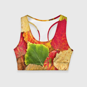 Женский спортивный топ 3D с принтом Осень в Курске, 82% полиэстер, 18% спандекс Ткань безопасна для здоровья, позволяет коже дышать, не мнется и не растягивается |  | берёза | дары осени | жёлтый | зелёный | золотой | краски | красный | красота | листва | листья | наряд | оранжевый | осень | осина | покров | природа