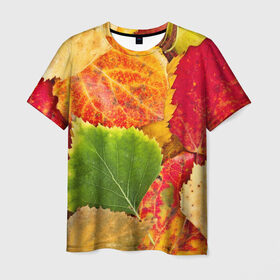 Мужская футболка 3D с принтом Осень в Курске, 100% полиэфир | прямой крой, круглый вырез горловины, длина до линии бедер | берёза | дары осени | жёлтый | зелёный | золотой | краски | красный | красота | листва | листья | наряд | оранжевый | осень | осина | покров | природа