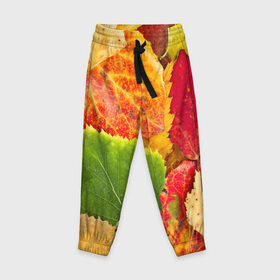 Детские брюки 3D с принтом Осень в Курске, 100% полиэстер | манжеты по низу, эластичный пояс регулируется шнурком, по бокам два кармана без застежек, внутренняя часть кармана из мелкой сетки | Тематика изображения на принте: берёза | дары осени | жёлтый | зелёный | золотой | краски | красный | красота | листва | листья | наряд | оранжевый | осень | осина | покров | природа