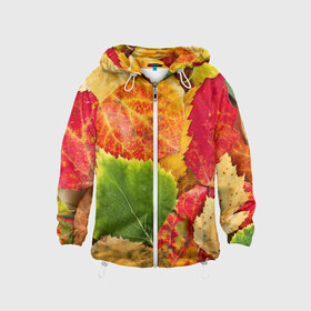 Детская ветровка 3D с принтом Осень в Курске, 100% полиэстер | подол и капюшон оформлены резинкой с фиксаторами, по бокам два кармана без застежек, один потайной карман на груди | Тематика изображения на принте: берёза | дары осени | жёлтый | зелёный | золотой | краски | красный | красота | листва | листья | наряд | оранжевый | осень | осина | покров | природа
