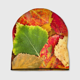 Шапка 3D с принтом Осень в Курске, 100% полиэстер | универсальный размер, печать по всей поверхности изделия | Тематика изображения на принте: берёза | дары осени | жёлтый | зелёный | золотой | краски | красный | красота | листва | листья | наряд | оранжевый | осень | осина | покров | природа