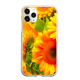 Чехол для iPhone 11 Pro матовый с принтом Подсолнух в Курске, Силикон |  | желтая | подсолнух | поле | природа | цветы