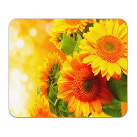 Коврик прямоугольный с принтом Подсолнух в Курске, натуральный каучук | размер 230 х 185 мм; запечатка лицевой стороны | желтая | подсолнух | поле | природа | цветы