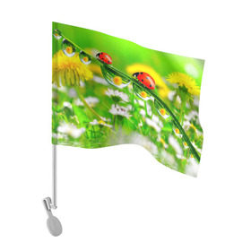 Флаг для автомобиля с принтом Макро в Курске, 100% полиэстер | Размер: 30*21 см | божья коровка | насекомые | одуванчик | природа | цветы