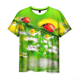 Мужская футболка 3D с принтом Макро в Курске, 100% полиэфир | прямой крой, круглый вырез горловины, длина до линии бедер | божья коровка | насекомые | одуванчик | природа | цветы