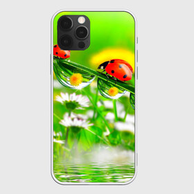 Чехол для iPhone 12 Pro Max с принтом Макро в Курске, Силикон |  | Тематика изображения на принте: божья коровка | насекомые | одуванчик | природа | цветы