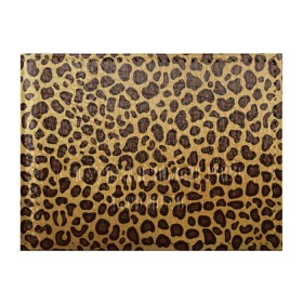 Обложка для студенческого билета с принтом Окрас леопарда в Курске, натуральная кожа | Размер: 11*8 см; Печать на всей внешней стороне | арт | животные | леопард | окрас