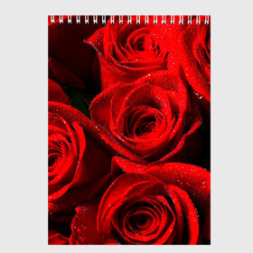 Скетчбук с принтом Розы в Курске, 100% бумага
 | 48 листов, плотность листов — 100 г/м2, плотность картонной обложки — 250 г/м2. Листы скреплены сверху удобной пружинной спиралью | красная | роза | роса | цветок
