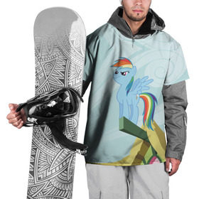Накидка на куртку 3D с принтом Rainbow в Курске, 100% полиэстер |  | Тематика изображения на принте: my little pony | луна | пинки пай | пони | рарити | рейнбоу дэш | селестия | сумеречная искорка | флаттершай | эплджек