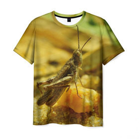 Мужская футболка 3D с принтом Кузнечик в Курске, 100% полиэфир | прямой крой, круглый вырез горловины, длина до линии бедер | кузнечик | насекомые