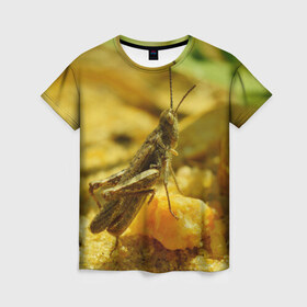 Женская футболка 3D с принтом Кузнечик в Курске, 100% полиэфир ( синтетическое хлопкоподобное полотно) | прямой крой, круглый вырез горловины, длина до линии бедер | кузнечик | насекомые
