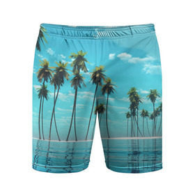 Мужские шорты 3D спортивные с принтом Фиджи в Курске,  |  | архипелаг | загар | каникулы | королевство | море | остров | отдых | отпуск | пальмы | песок | рай | солнце | тихий океан | туризм | фиджи