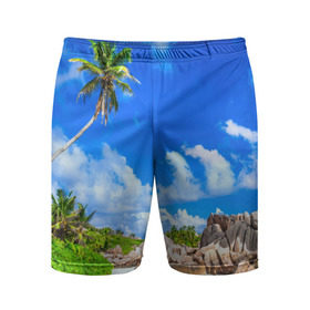Мужские шорты 3D спортивные с принтом Сейшельские острова в Курске,  |  | Тематика изображения на принте: seychelles | восточная африка | индийский океан | каникулы | море | островное государство | отдых | отпуск | пальмы | песок | пляж | приключение | путешествие | рай | сейшелы | сейшельские острова | туризм