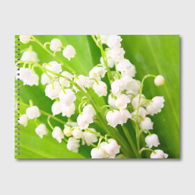 Альбом для рисования с принтом Ландыши в Курске, 100% бумага
 | матовая бумага, плотность 200 мг. | весна | ландыш | цветок
