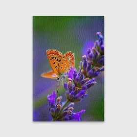Обложка для паспорта матовая кожа с принтом Цветы в Курске, натуральная матовая кожа | размер 19,3 х 13,7 см; прозрачные пластиковые крепления | Тематика изображения на принте: бабочка | лепесток | природа | цветок | яркая