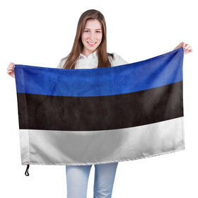 Флаг 3D с принтом Эстония в Курске, 100% полиэстер | плотность ткани — 95 г/м2, размер — 67 х 109 см. Принт наносится с одной стороны | Тематика изображения на принте: страна | эстония | эстонская республика