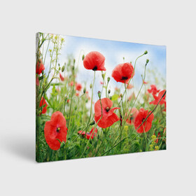 Холст прямоугольный с принтом Дикий мак в Курске, 100% ПВХ |  | Тематика изображения на принте: зелень | лето | луг | лужайка | мак | небо | облака | поле | полевые цветы | природа | растения | растительность