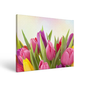Холст прямоугольный с принтом Тюльпаны в Курске, 100% ПВХ |  | 8 марта | аромат | букет | вазон | великолепие | дача | девушки | женщины | краски | красота | куст | лужайка | милые цветы | огород | палитра | прелесть | радуга | растение | тюльпаны