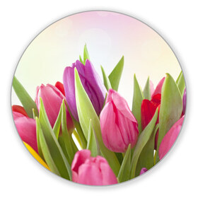 Коврик круглый с принтом Тюльпаны в Курске, резина и полиэстер | круглая форма, изображение наносится на всю лицевую часть | Тематика изображения на принте: 8 марта | аромат | букет | вазон | великолепие | дача | девушки | женщины | краски | красота | куст | лужайка | милые цветы | огород | палитра | прелесть | радуга | растение | тюльпаны