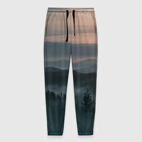 Мужские брюки 3D с принтом Туман в горах в Курске, 100% полиэстер | манжеты по низу, эластичный пояс регулируется шнурком, по бокам два кармана без застежек, внутренняя часть кармана из мелкой сетки | ветки | деревья | лес | туман