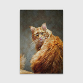 Обложка для паспорта матовая кожа с принтом Рыжий в Курске, натуральная матовая кожа | размер 19,3 х 13,7 см; прозрачные пластиковые крепления | Тематика изображения на принте: cat | кот | кошка | рыжий