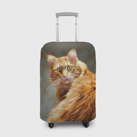 Чехол для чемодана 3D с принтом Рыжий в Курске, 86% полиэфир, 14% спандекс | двустороннее нанесение принта, прорези для ручек и колес | cat | кот | кошка | рыжий