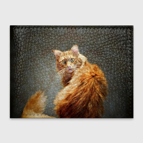 Обложка для студенческого билета с принтом Рыжий в Курске, натуральная кожа | Размер: 11*8 см; Печать на всей внешней стороне | Тематика изображения на принте: cat | кот | кошка | рыжий