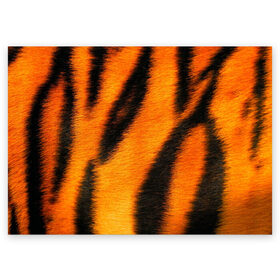 Поздравительная открытка с принтом Шкура тигра в Курске, 100% бумага | плотность бумаги 280 г/м2, матовая, на обратной стороне линовка и место для марки
 | кошка | полосатая | текстуры | тигр
