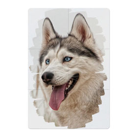 Магнитный плакат 2Х3 с принтом Симпотяга волк в Курске, Полимерный материал с магнитным слоем | 6 деталей размером 9*9 см | Тематика изображения на принте: зверь | серый | хаски | хаски бандит