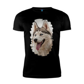 Мужская футболка премиум с принтом Симпотяга волк в Курске, 92% хлопок, 8% лайкра | приталенный силуэт, круглый вырез ворота, длина до линии бедра, короткий рукав | зверь | серый | хаски | хаски бандит