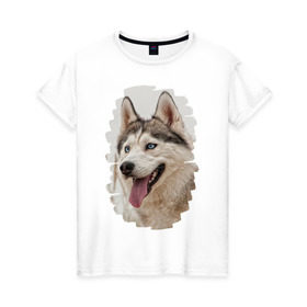 Женская футболка хлопок с принтом Симпотяга волк в Курске, 100% хлопок | прямой крой, круглый вырез горловины, длина до линии бедер, слегка спущенное плечо | зверь | серый | хаски | хаски бандит