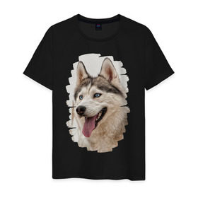 Мужская футболка хлопок с принтом Симпотяга волк в Курске, 100% хлопок | прямой крой, круглый вырез горловины, длина до линии бедер, слегка спущенное плечо. | зверь | серый | хаски | хаски бандит