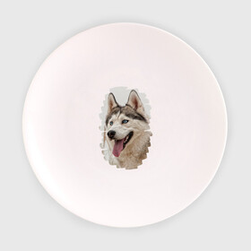 Тарелка с принтом Симпотяга волк в Курске, фарфор | диаметр - 210 мм
диаметр для нанесения принта - 120 мм | зверь | серый | хаски | хаски бандит