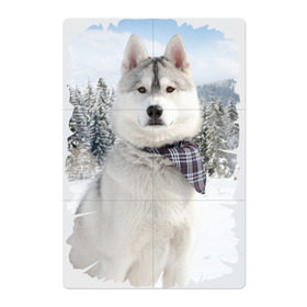 Магнитный плакат 2Х3 с принтом Волк в зимнем лесу в Курске, Полимерный материал с магнитным слоем | 6 деталей размером 9*9 см | Тематика изображения на принте: серый | хаски
