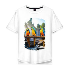 Мужская футболка хлопок Oversize с принтом Попугаи на ветке в Курске, 100% хлопок | свободный крой, круглый ворот, “спинка” длиннее передней части | джунгли | клюв | острова | перья | попугай | птица | тропики | экзотика