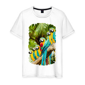 Мужская футболка хлопок с принтом Экзотические попугаи в Курске, 100% хлопок | прямой крой, круглый вырез горловины, длина до линии бедер, слегка спущенное плечо. | джунгли | клюв | острова | перья | попугай | птица | тропики | экзотика