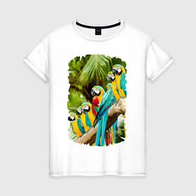 Женская футболка хлопок с принтом Экзотические попугаи в Курске, 100% хлопок | прямой крой, круглый вырез горловины, длина до линии бедер, слегка спущенное плечо | джунгли | клюв | острова | перья | попугай | птица | тропики | экзотика