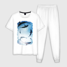 Мужская пижама хлопок с принтом Акулы в Курске, 100% хлопок | брюки и футболка прямого кроя, без карманов, на брюках мягкая резинка на поясе и по низу штанин
 | акулы | море