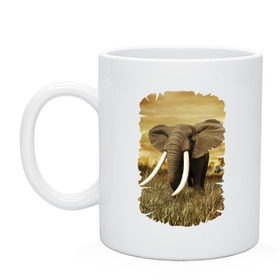 Кружка с принтом Могучий слон в Курске, керамика | объем — 330 мл, диаметр — 80 мм. Принт наносится на бока кружки, можно сделать два разных изображения | elephant | африка | бивни | джунгли | мамонт | савана | сафари | слон | хобот