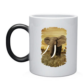 Кружка хамелеон с принтом Могучий слон в Курске, керамика | меняет цвет при нагревании, емкость 330 мл | elephant | африка | бивни | джунгли | мамонт | савана | сафари | слон | хобот