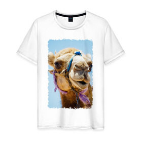 Мужская футболка хлопок с принтом Верблюд в Курске, 100% хлопок | прямой крой, круглый вырез горловины, длина до линии бедер, слегка спущенное плечо. | Тематика изображения на принте: верблюд | горб | животное | караван | песок | плевок | пустыня