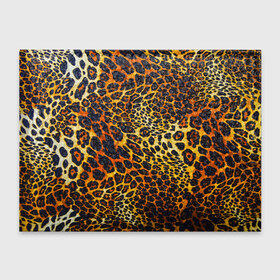 Обложка для студенческого билета с принтом Леопард в Курске, натуральная кожа | Размер: 11*8 см; Печать на всей внешней стороне | 3д | животные | кошка | леопард | новая | хищник