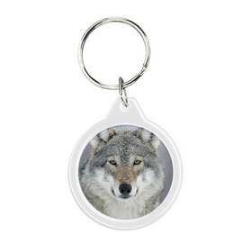 Брелок круглый с принтом Добрый волк в Курске, пластик и полированная сталь | круглая форма, металлическое крепление в виде кольца | взгляд | волк | волки | оскал