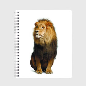 Тетрадь с принтом Король джунглей в Курске, 100% бумага | 48 листов, плотность листов — 60 г/м2, плотность картонной обложки — 250 г/м2. Листы скреплены сбоку удобной пружинной спиралью. Уголки страниц и обложки скругленные. Цвет линий — светло-серый
 | leo | lion | власть | грива | дикая кошка | животное | зверь | клыки | когти | король джунглей | лев | мощь | мудрость | охотник | сила | хитрость | хищник | царь зверей | шерсть