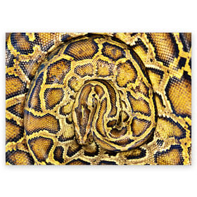 Поздравительная открытка с принтом Змея в Курске, 100% бумага | плотность бумаги 280 г/м2, матовая, на обратной стороне линовка и место для марки
 | snake | анаконда | гадюка | змеиная | змея | кобра | кожа | кожура | удав | уж | червь | червяк | яд