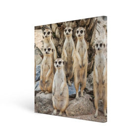 Холст квадратный с принтом Сурикаты в Курске, 100% ПВХ |  | животное | зверёк | калахари | мангуст | млекопитающее | сурикат | южная африка