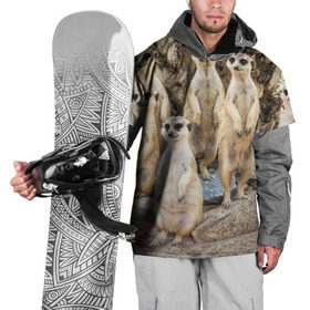 Накидка на куртку 3D с принтом Сурикаты в Курске, 100% полиэстер |  | животное | зверёк | калахари | мангуст | млекопитающее | сурикат | южная африка