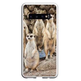 Чехол для Samsung Galaxy S10 с принтом Сурикаты в Курске, Силикон | Область печати: задняя сторона чехла, без боковых панелей | животное | зверёк | калахари | мангуст | млекопитающее | сурикат | южная африка